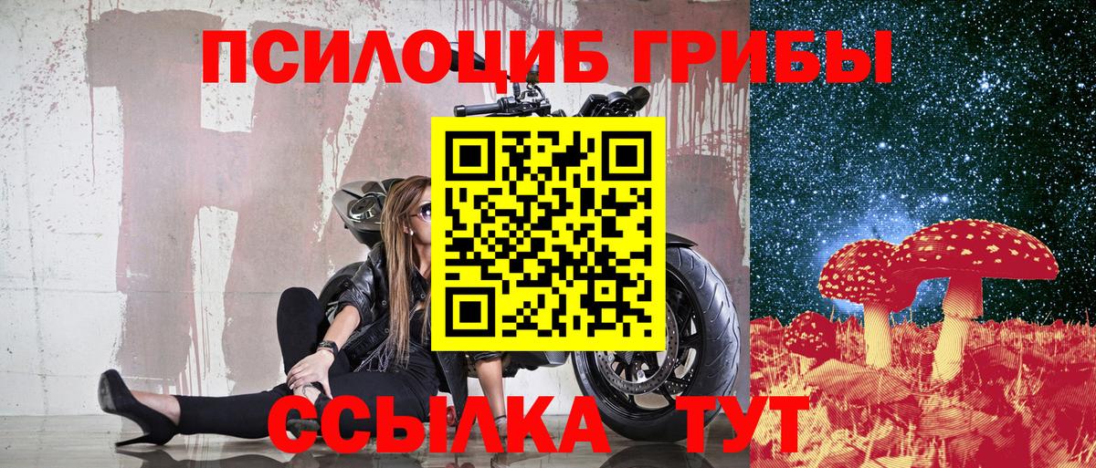 Галлюциногенные грибы Psilocybe  Вход с VPN  Псилоцибиновые грибы GOLDEN TEACHER  Сафоново 